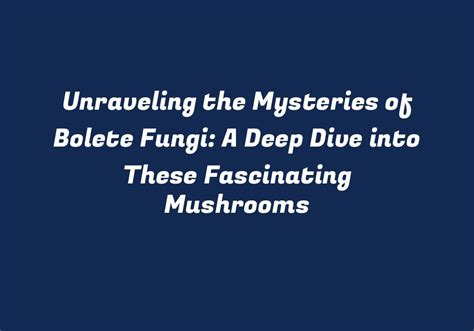 The Magical Journey of Mushroomsvbook: Exploring its Fantastical Realm